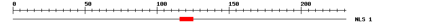 NLS