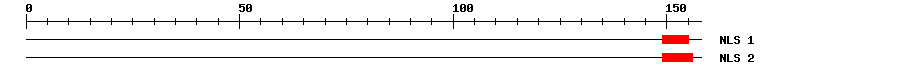 NLS