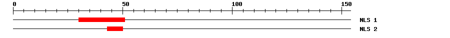 NLS