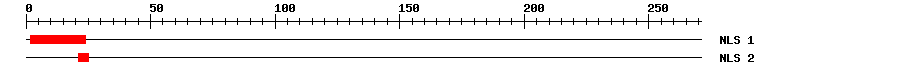 NLS