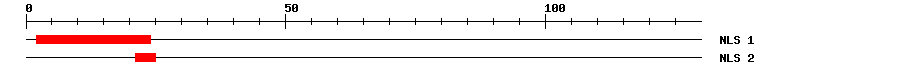 NLS