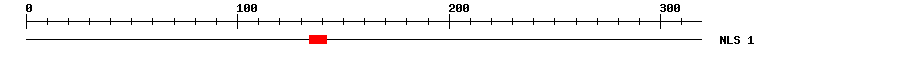NLS