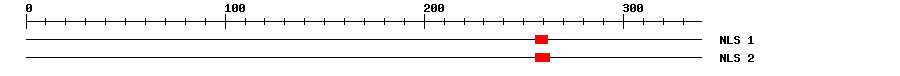 NLS