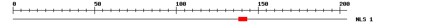 NLS