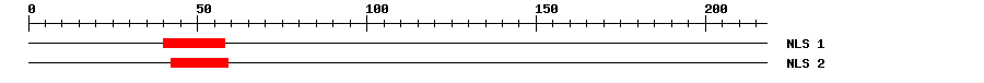 NLS
