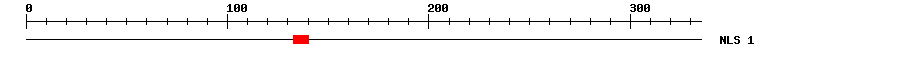 NLS