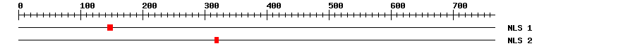 NLS
