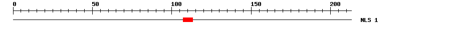 NLS