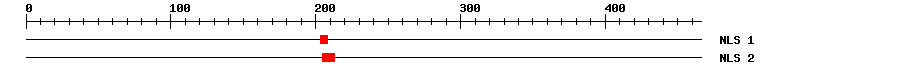 NLS