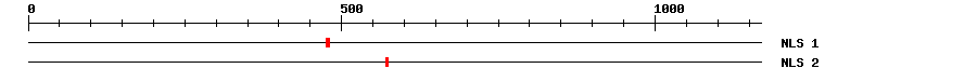 NLS