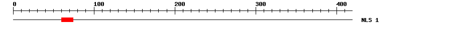 NLS
