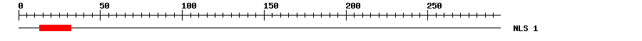 NLS
