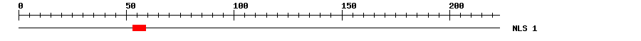 NLS