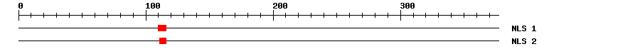 NLS