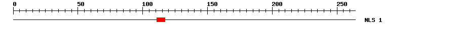 NLS