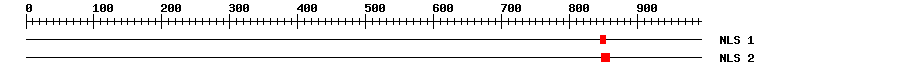 NLS