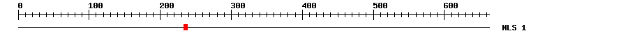 NLS