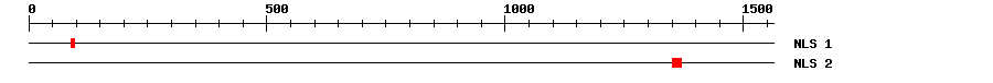 NLS