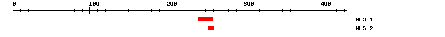 NLS