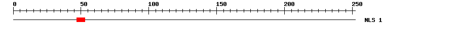 NLS