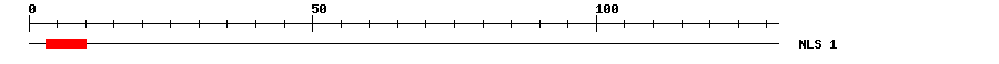 NLS