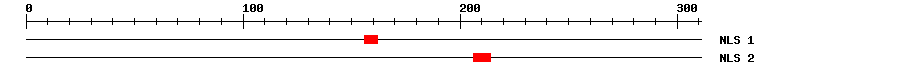 NLS