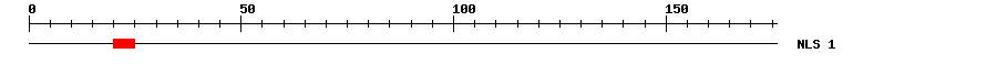 NLS