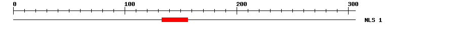NLS