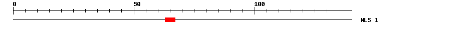 NLS