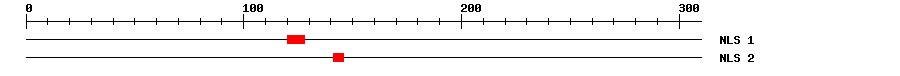 NLS