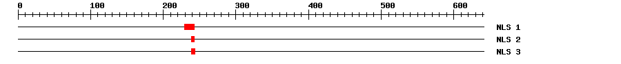 NLS