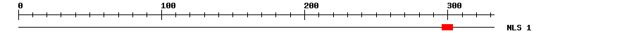 NLS