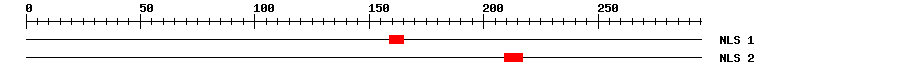 NLS