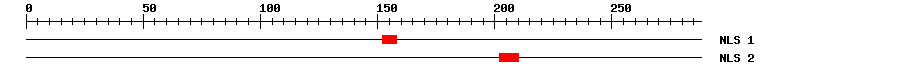 NLS