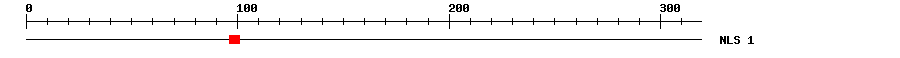 NLS