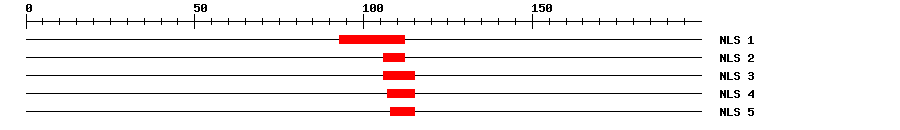 NLS