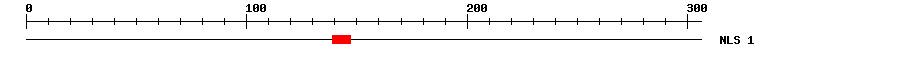 NLS