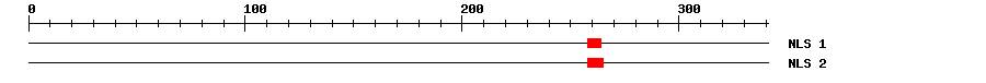 NLS