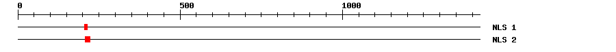 NLS