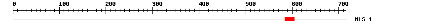 NLS
