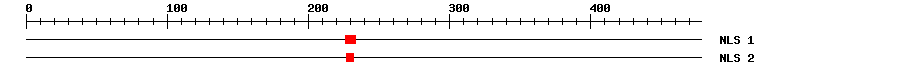 NLS