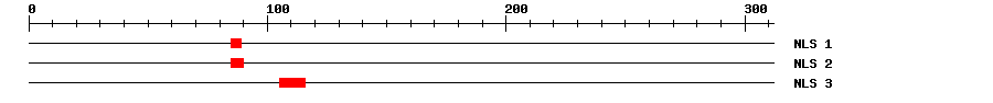 NLS