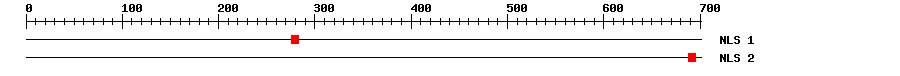 NLS