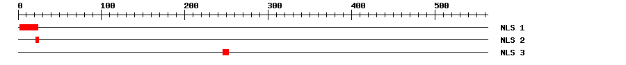 NLS