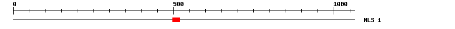 NLS