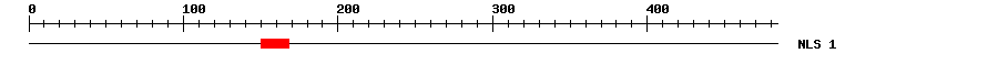 NLS