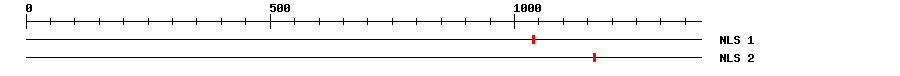 NLS