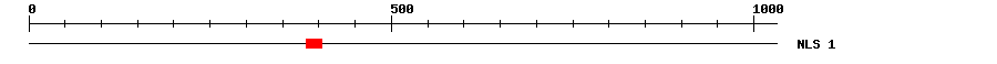 NLS
