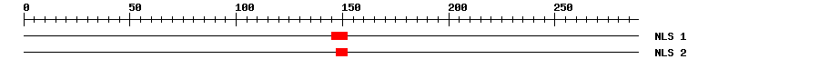 NLS
