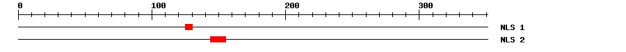 NLS